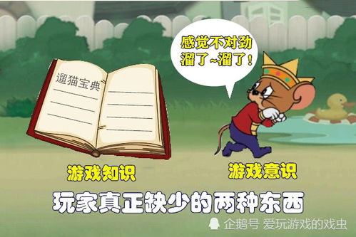 有哪些知识游戏