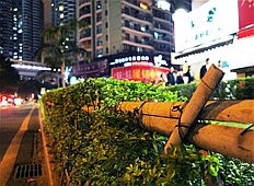 厦门早上不热旅游攻略