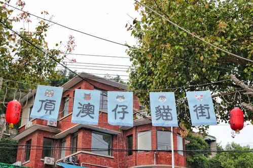 厦门猫街旅游攻略