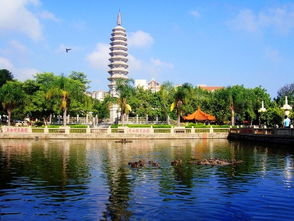 厦门越崎旅游攻略