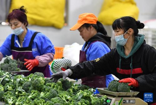 福州回收特产电话地址