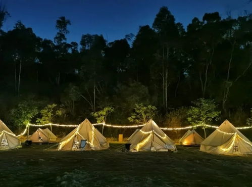 厦门旅游攻略免费露营