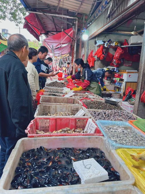 福州早市特产哪里买好