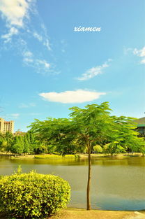 厦门旅游攻略盛夏必去