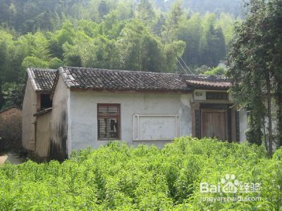 瑞安去厦门旅游攻略