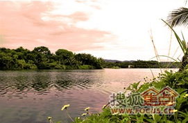 厦门白鹭湖旅游攻略路线