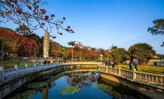 河南去厦门旅游攻略最新