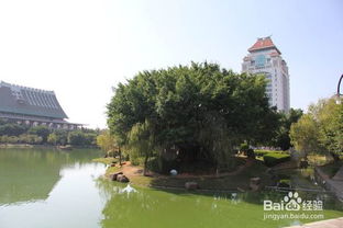 厦门大学情侣旅游攻略