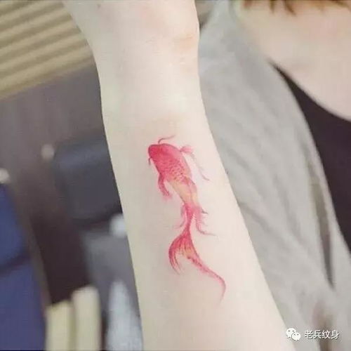 福州特产锦鲤纹身推荐
