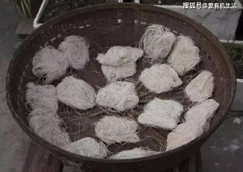 福州哪儿可以买到特产