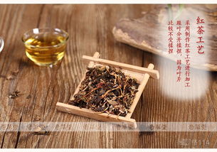 福州特产金线莲