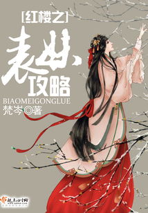 红楼攻略游戏小说