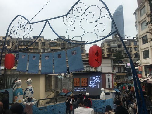 厦门寒假旅游攻略自由行