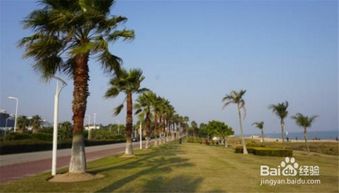 浙江到厦门自驾旅游攻略