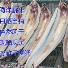 福州特产海鳗鱼叫什么