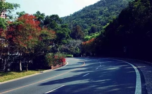 厦门文曾路旅游攻略