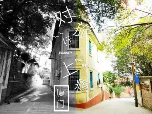厦门民宿酒店旅游攻略