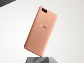 oppor8007能玩哪些游戏