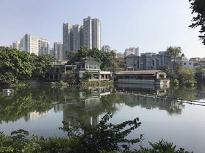 广州去厦门春节旅游攻略