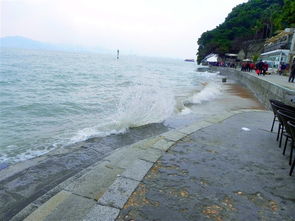 厦门4日冬季旅游攻略
