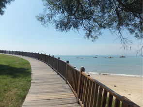 厦门珍珠湾旅游攻略图