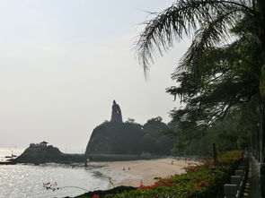6天厦门旅游攻略景点