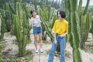 厦门4岁孩子旅游攻略