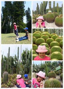 六一带小孩厦门旅游攻略