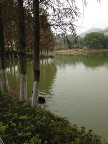 厦门生态湖旅游攻略