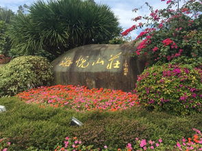 厦门旅游攻略自由行花海