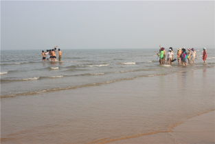 天津到厦门赶海旅游攻略