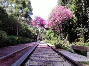 厦门虎园路旅游攻略
