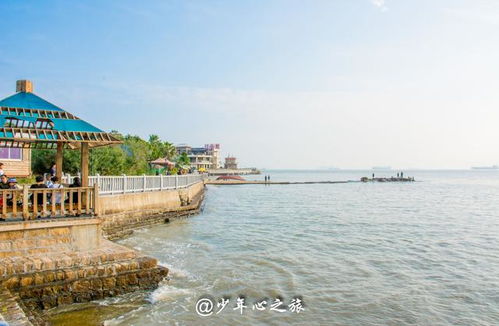 厦门旅游宝典攻略自由行