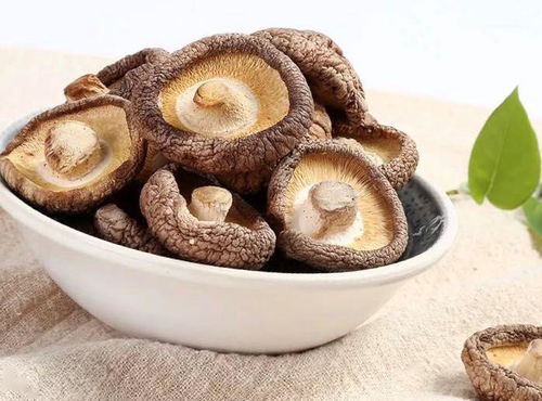 福州菌菇特产介绍图片