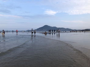 五一带娃旅游厦门攻略