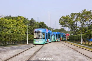 厦门骑电车旅游攻略视频
