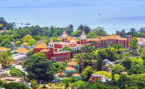 东北去厦门旅游攻略景点