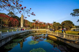汕头-厦门旅游攻略穷游