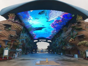 珠海长隆厦门旅游攻略