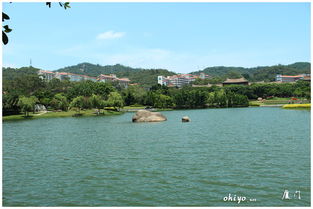 暑假到厦门住宿旅游攻略