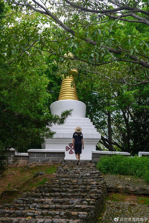 厦门集美自行旅游攻略