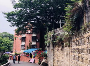 宾阳旅游攻略厦门好玩吗