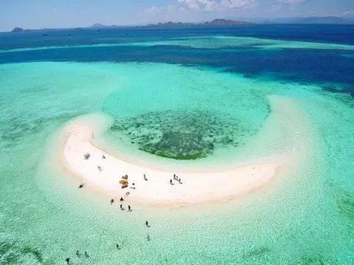厦门星球旅游攻略大全