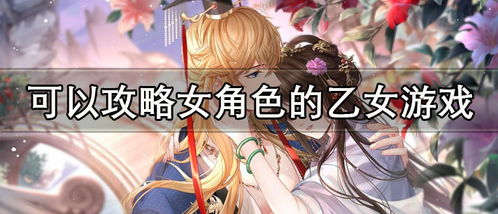 乙女游戏可选攻略