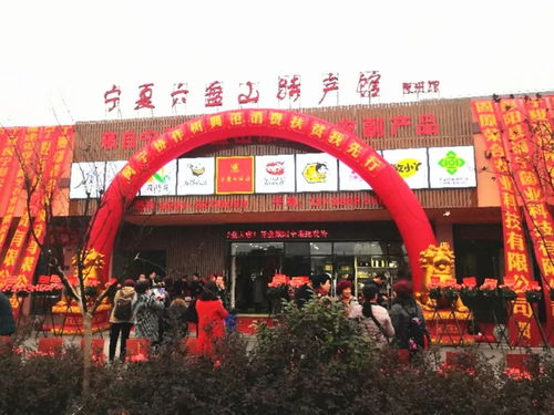 福州李引进宁夏特产馆
