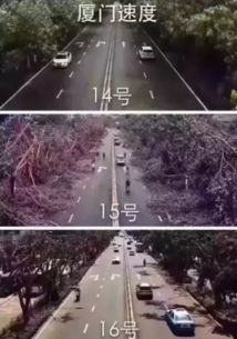 厦门1号线旅游攻略