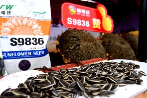 福州食品特产哪里买好吃
