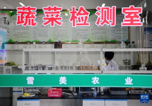 福州浦城土特产店