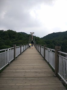 湖南厦门人旅游攻略