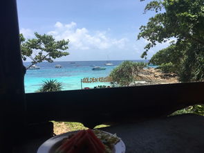 带小孩厦门看海旅游攻略